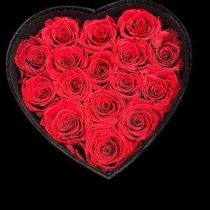 COEUR DE ROSES ROUGES ETERNELLES