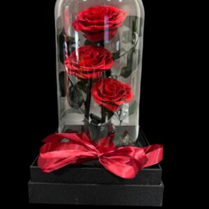 TRIO DE ROSES ROUGES